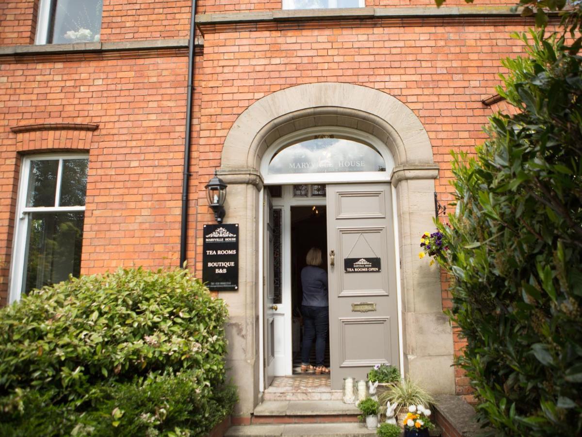 Maryville House Belfast Dış mekan fotoğraf